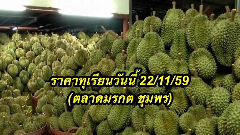 ราคาทุเรียนวันนี้ 22/11/59 (ตลาดมรกต ชุมพร)