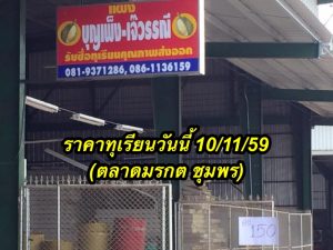 หมอนทองเบอร์สวย(AB) 150 บาท/กก.