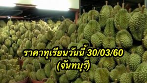 ราคาทุเรียนวันนี้ 30/03/60 (จันทบุรี)