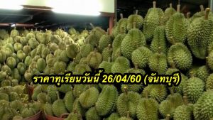 ราคาทุเรียนวันนี้ 26/04/60 (จันทบุรี)