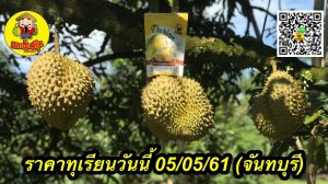 ราคาทุเรียนวันนี้ 05/05/61 (จันทบุรี)