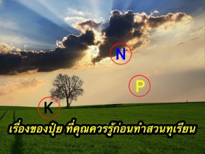 เรื่องของปุ๋ย ที่คุณควรรู้ก่อนทำสวนทุเรียน
