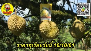 ราคาทุเรียนวันนี้ 16/10/61