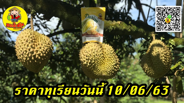ราคาทุเรียนวันนี้ 10/06/63