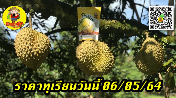 ราคาทุเรียนวันนี้ 06/05/64