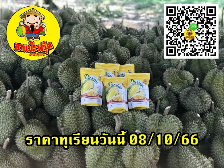 ราคาทุเรียนวันนี้ 08/10/66