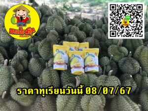 ราคาทุเรียนวันนี้ 08/07/67