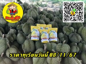 ราคาทุเรียนวันนี้ 08/11/67