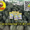 ราคาทุเรียนวันนี้ 13/01/69