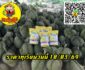 ราคาทุเรียนวันนี้ 10/03/69