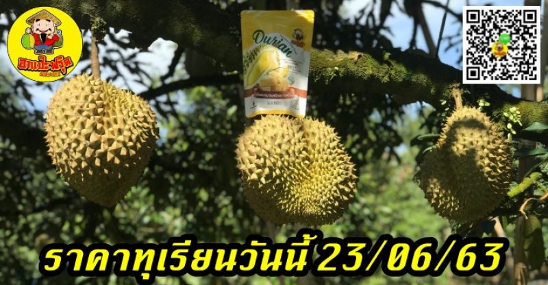 ราคาทุเรียนวันนี้ 23/06/63