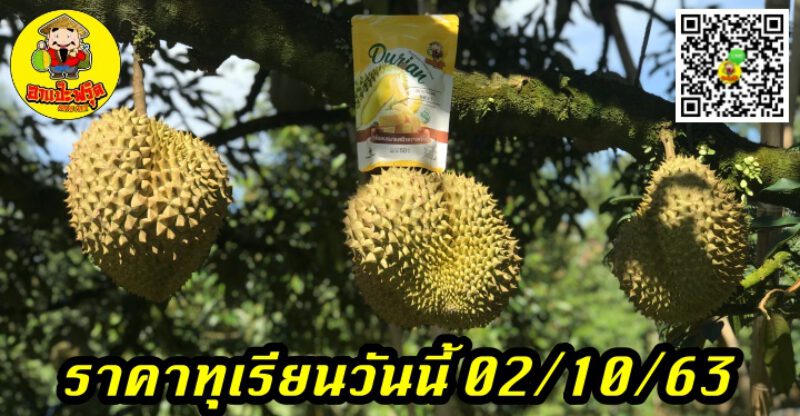 ราคาทุเรียนวันนี้ 02/10/63