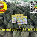 ราคาทุเรียนวันนี้ 22/05/66