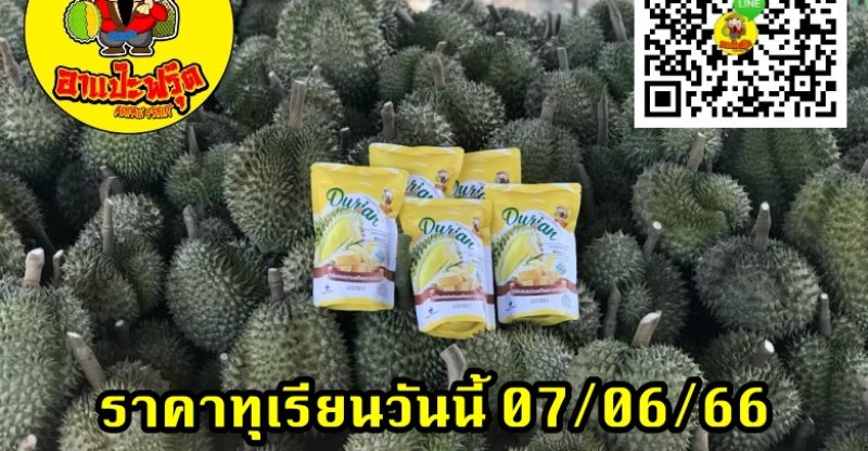 ราคาทุเรียนวันนี้ 07/06/66