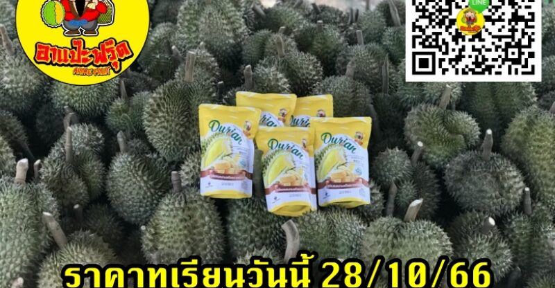 ราคาทุเรียนวันนี้ 28/10/66