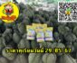 ราคาทุเรียนวันนี้ 29/05/67