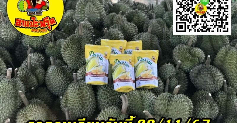 ราคาทุเรียนวันนี้ 08/11/67