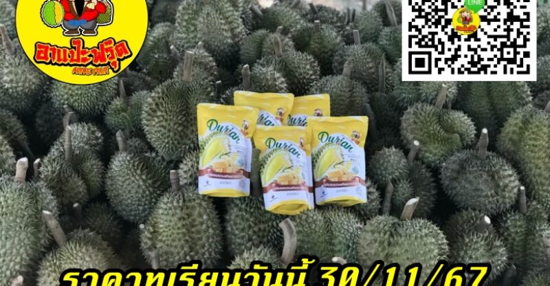 ราคาทุเรียนวันนี้ 30/11/67