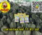 ราคาทุเรียนวันนี้ 27/03/68