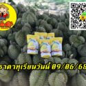 ราคาทุเรียนวันนี้ 09/06/68