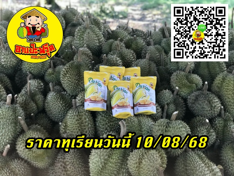 ราคาทุเรียนวันนี้ 10/08/68