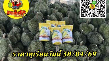 ราคาทุเรียนวันนี้ 30/04/69
